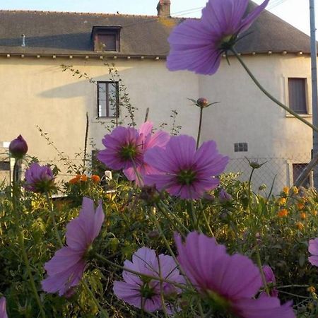 Manoir De La Guignardiere - Charme Et Douceur Chavagne Zewnętrze zdjęcie