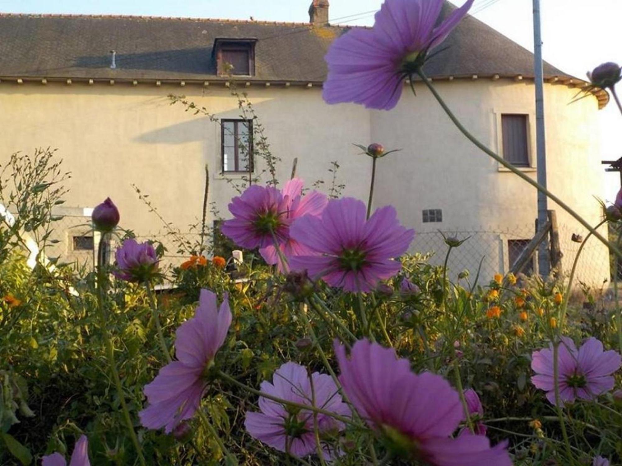 Manoir De La Guignardiere - Charme Et Douceur Chavagne Zewnętrze zdjęcie
